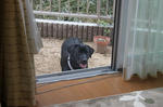 2010.5.11.nachi.jpg