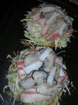 DSCN2071.jpg