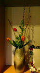 20110208163811.jpg