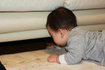 IMG_2451.jpg