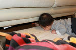 IMG_2453.jpg