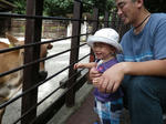 24172425_1317124554_250large.jpg