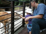 24172425_1317124584_1large.jpg