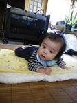 IMGP0088.jpg