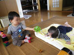 IMGP0103.jpg