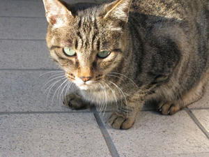 7c356f2b.JPG