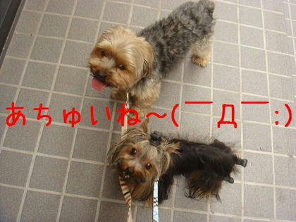 a93d3d34.jpg