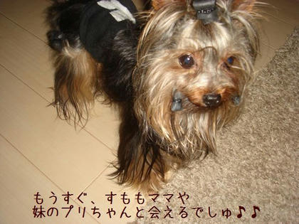 5f8339ea.jpg