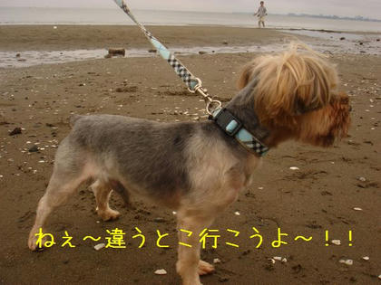 64fb6359.jpg