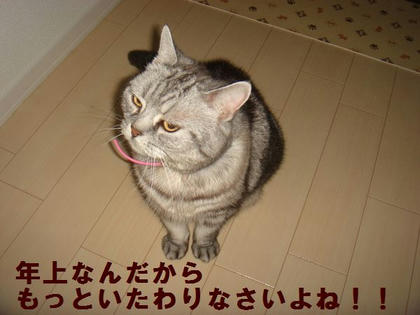 09ddade1.jpg