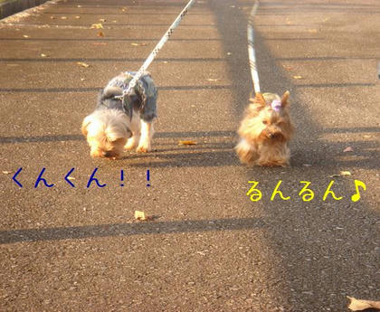 7ddf0f12.jpg