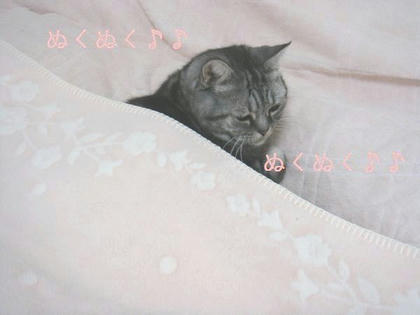 5a27b6b3.jpg