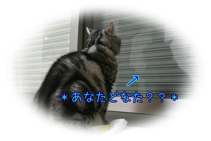 5e2a6c91.JPG