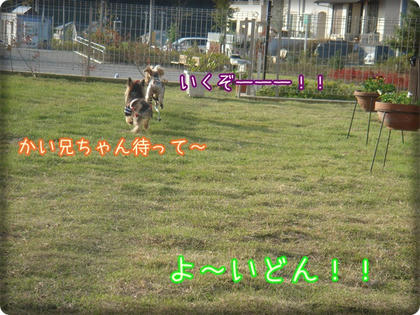 239297f2.JPG