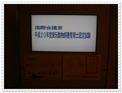 978a3aa4.JPG