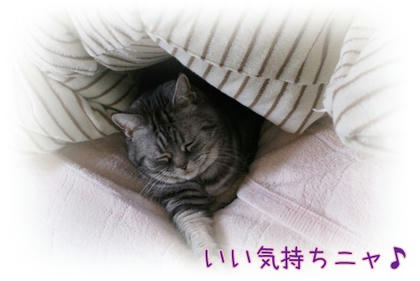 1f26fe34.JPG