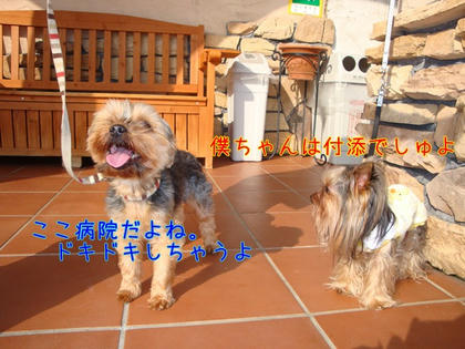 f01c379f.JPG
