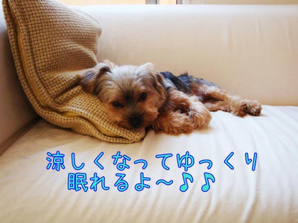 4f8a9171.JPG