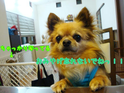 bdcd7755.JPG