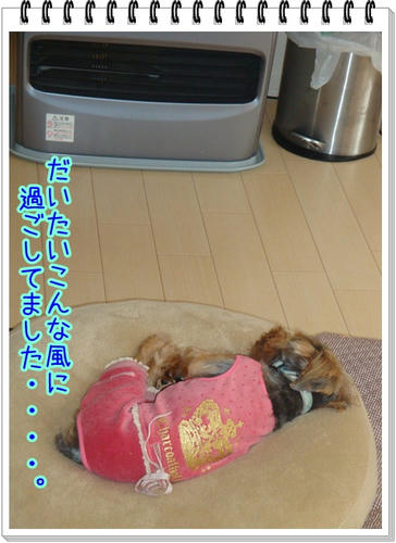 978539cd.JPG