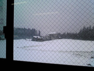 080123_1209~01.gif