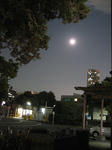 resize0141.jpg