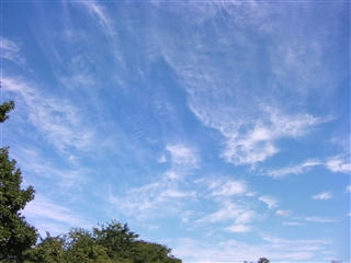 空