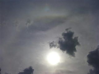 太陽