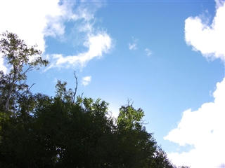 空　森