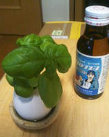 mint06.jpg