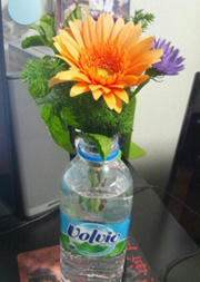 flower1106.jpg