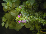 09/19花