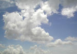 12/31空