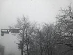01/17雪の降る日