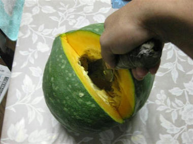 33d3f59e.JPG