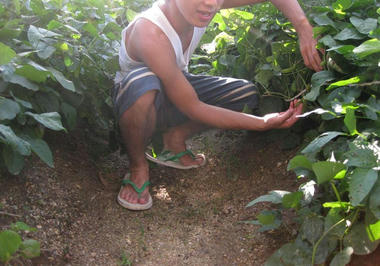 IMG_3955_R.jpg
