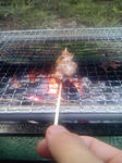 SH3F0012.jpg