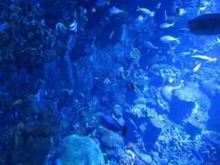 image47.jpg
