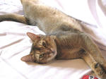 mayori_071012.jpg