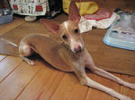 tifa_071012.jpg