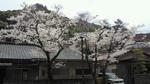 2011040715130000.jpg