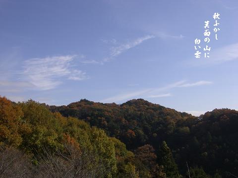 青い空と白い雲