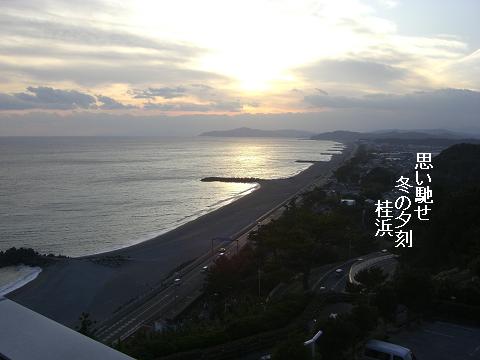 桂浜