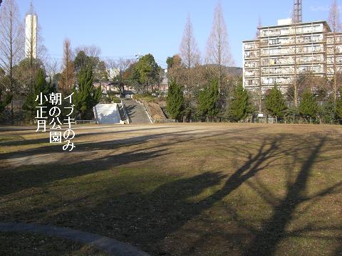 朝の公園