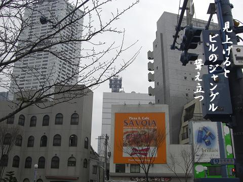 ビルのジャングル