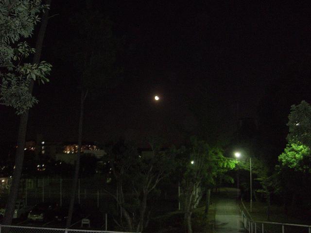 夜の月