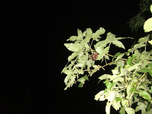 夜の風景1
