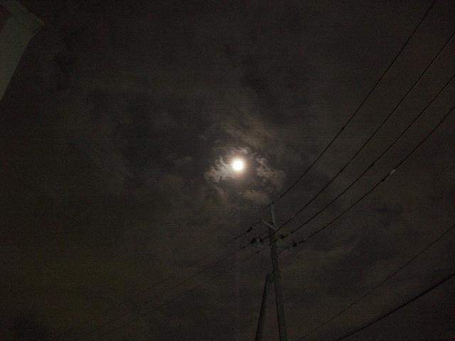 月4