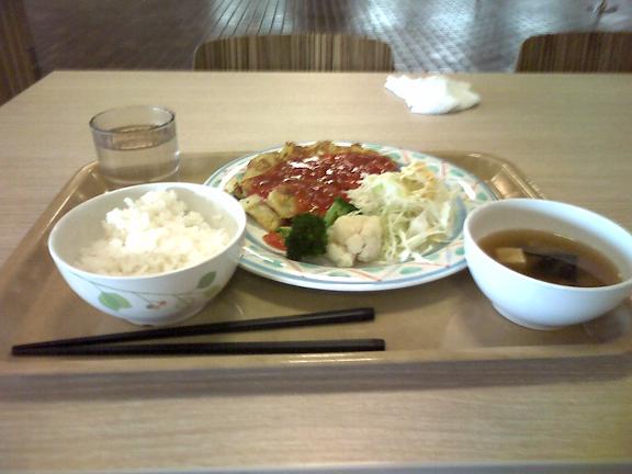 ミューズキャンパス内の大食堂のランチ