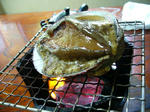 izu-2007-1.jpg